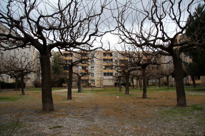 Une petite barre en lisière du "Docteur Ayme" © Mathilde Mathieu